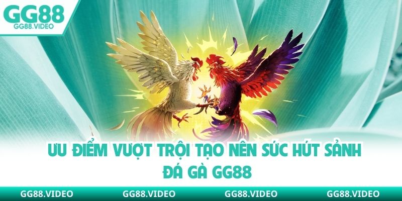Ưu điểm vượt trội tạo nên sức hút sảnh đá gà GG88